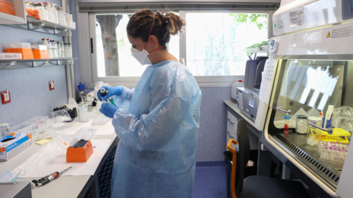 Obtienen la secuencia completa del virus de la viruela del mono en España