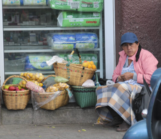 Foto: Xavier Caivinagua