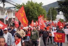 La UNE presenta una demanda de inconstitucionalidad a la Ley de Integridad Pública