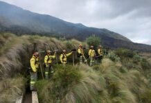 Nuevos despidos de guardaparques en Ecuador reflejan el impacto de la política del Gobierno en áreas protegidas