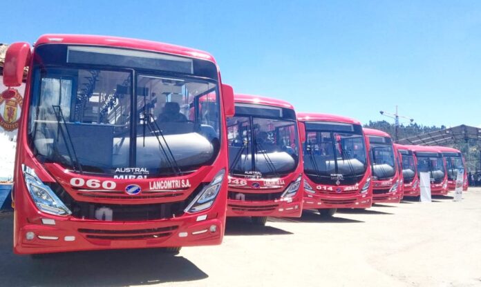 Buses