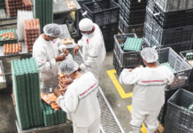 Jornada laboral podrá ser de 10 horas al día en Ecuador, sin superar 40 a la semana, establece el Ministerio de Trabajo