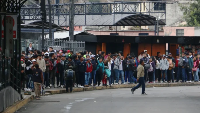 pasaje_buses_quito.jpg_595776008