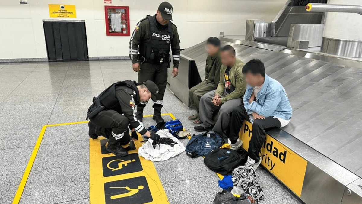 Prisión preventiva para los tres tailandeses que transportaban doce iguanas de Galápagos